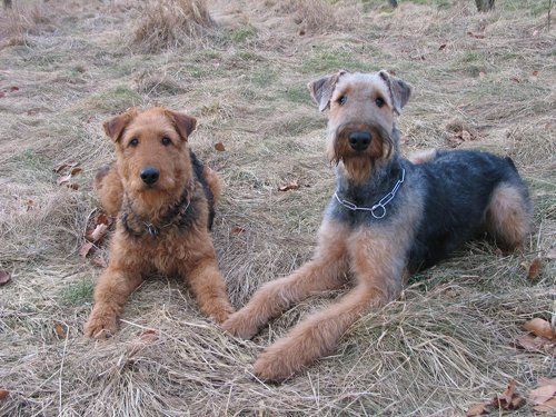 Lilly und Rachel (2 Jahre) und 10 Monate